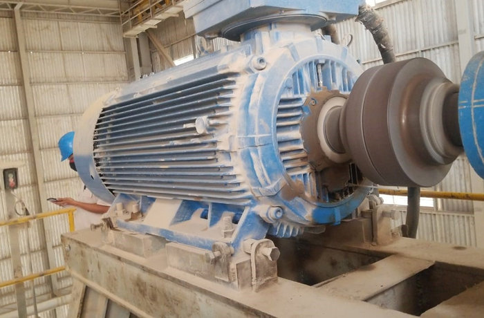 Industrial motors – the monitored assets